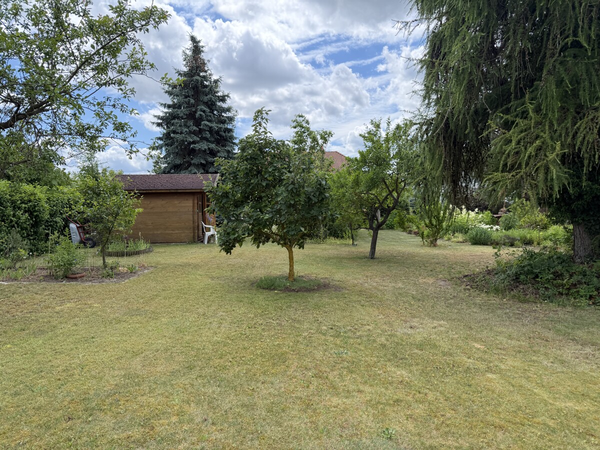 Blick in den Garten