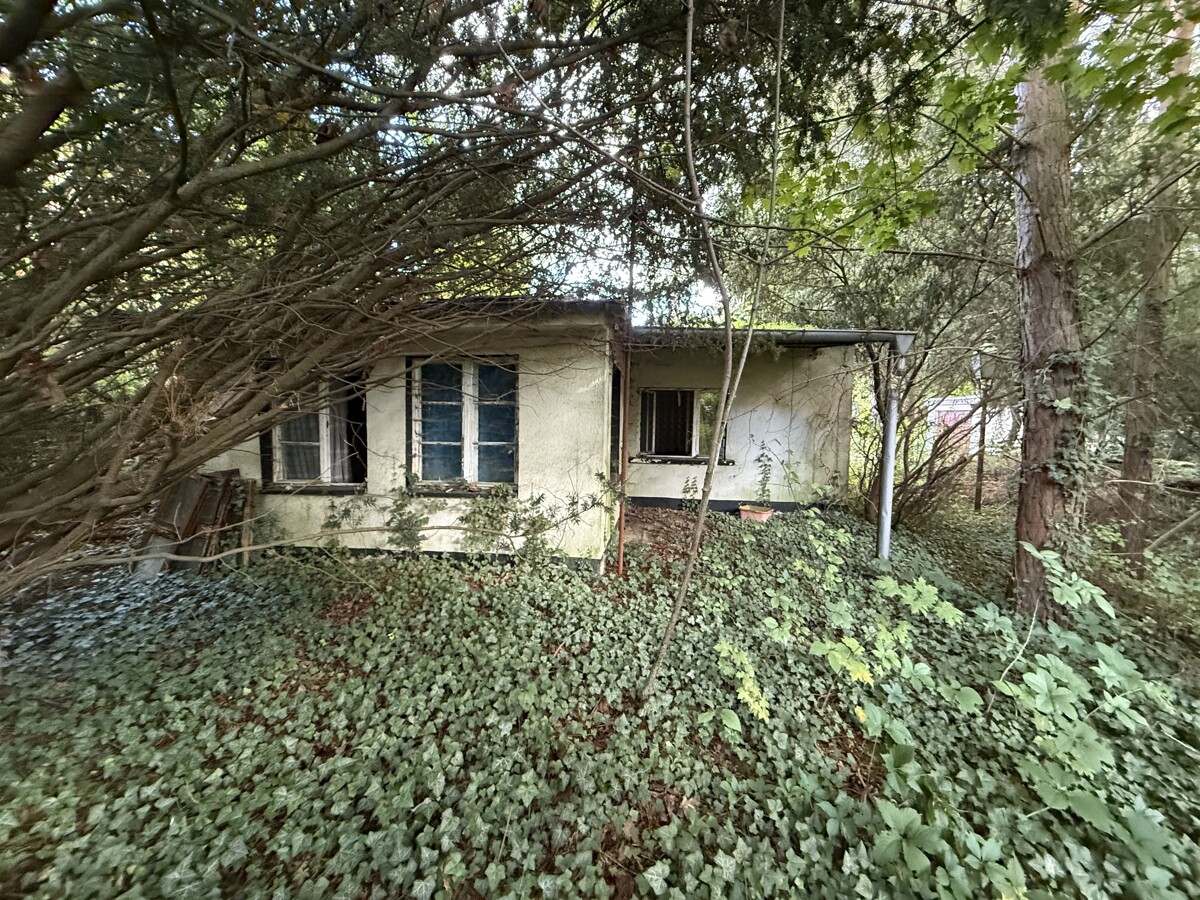 Blick zum zweiten Flurstück - Ansicht2