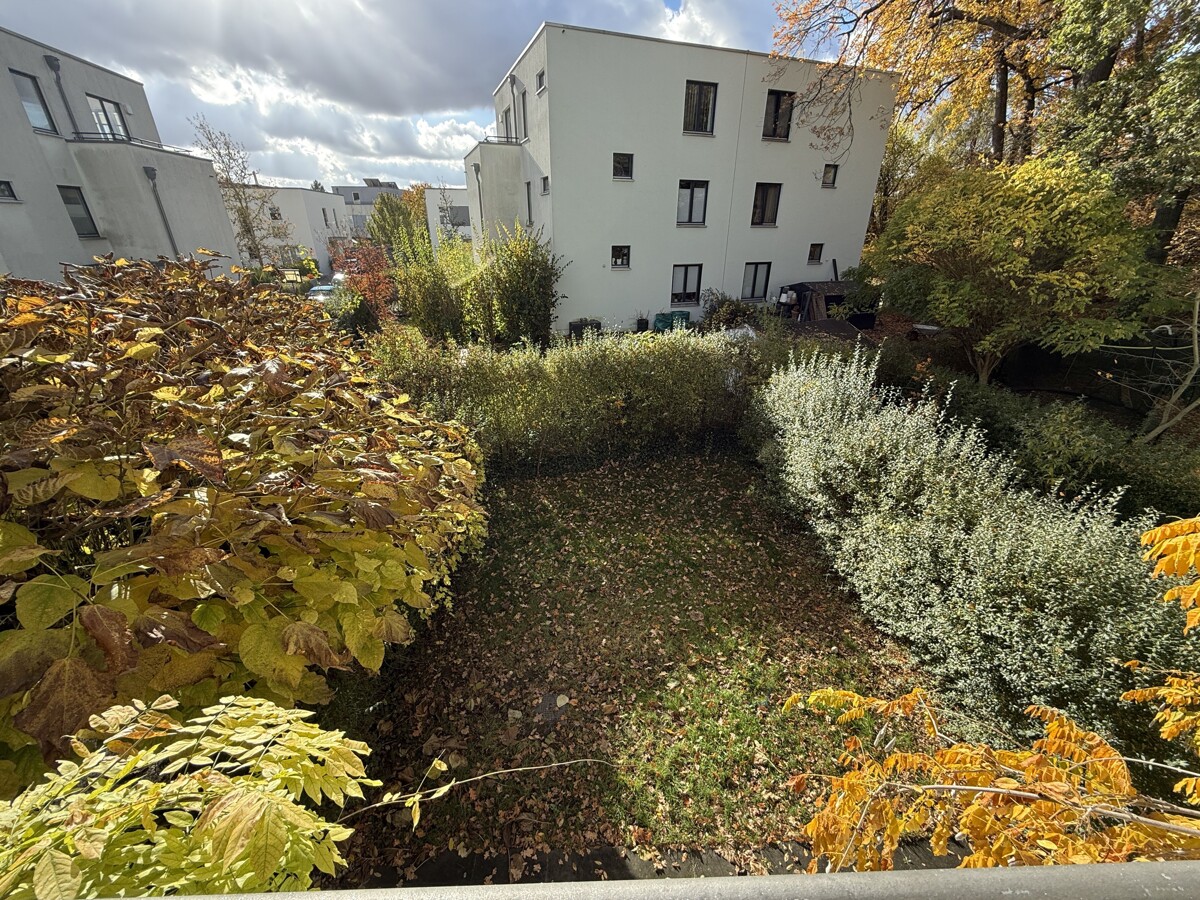 Blick in den Garten