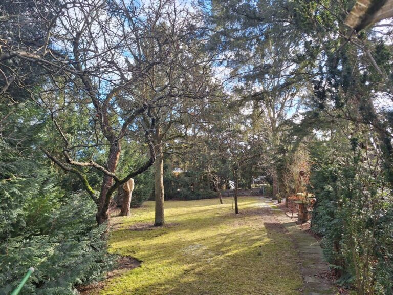 5ef73451-bbeb-4c12-bc5c-151f5c4620f9