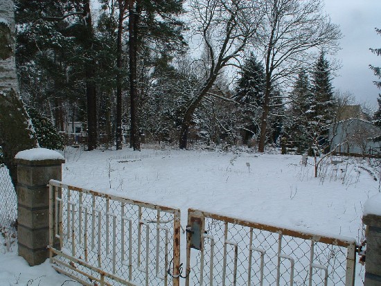 Wohnen in Wald- und Wassernähe