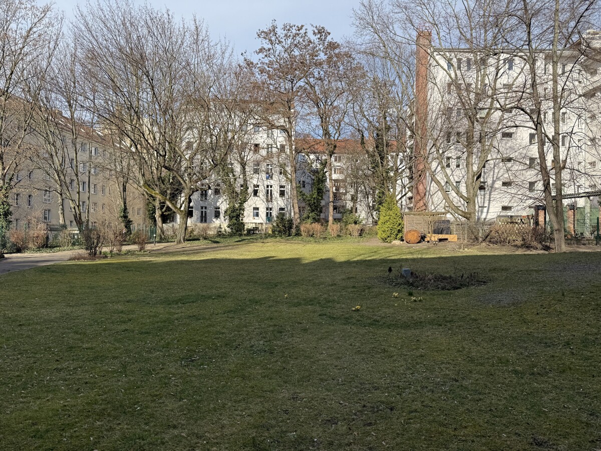 Blick in den Gemeinschaftsgarten