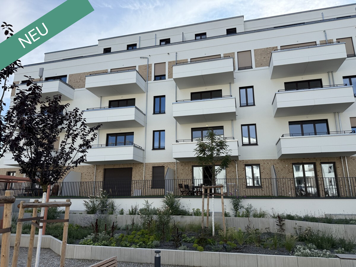 Hinteransicht - Blick zu den Balkonen