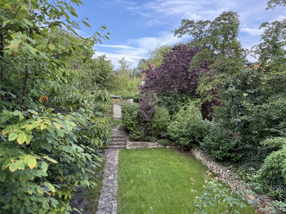 Blick von der Terrasse in den Garten