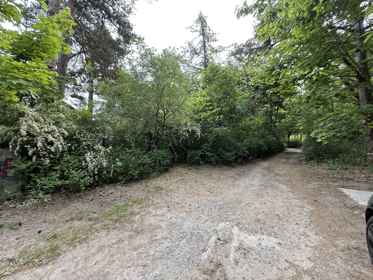 Blick Waldweg - Zugang zum zweiten Flurstück